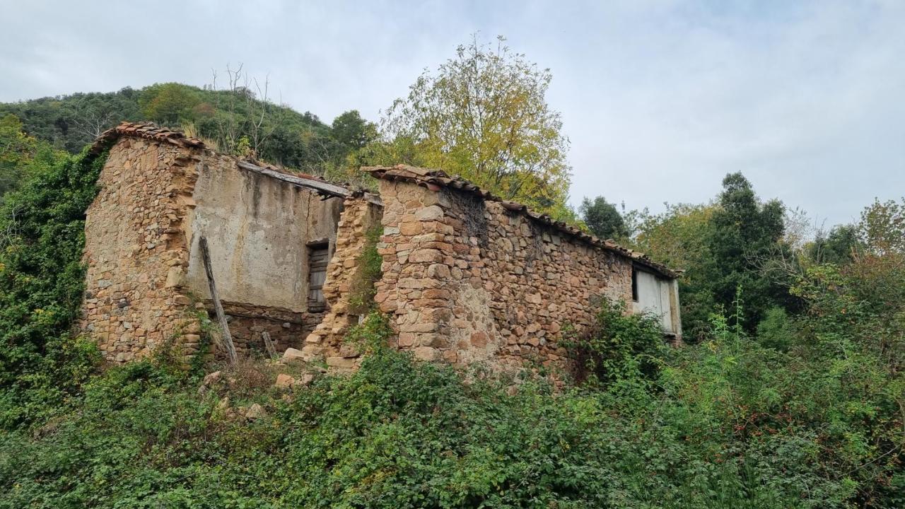 Ca La Pauleta Sant Hilari Sacalm Exterior foto