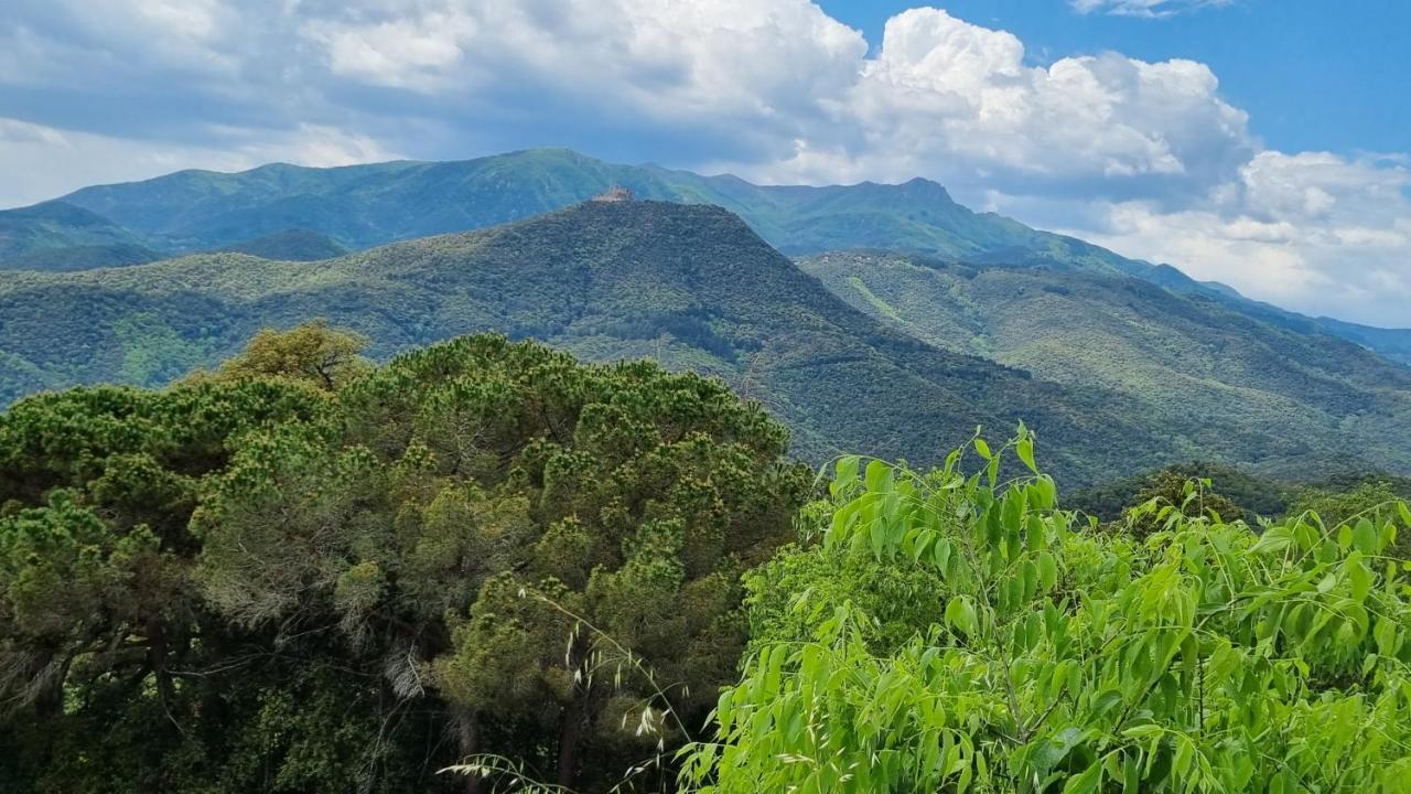 Ca La Pauleta Sant Hilari Sacalm Exterior foto