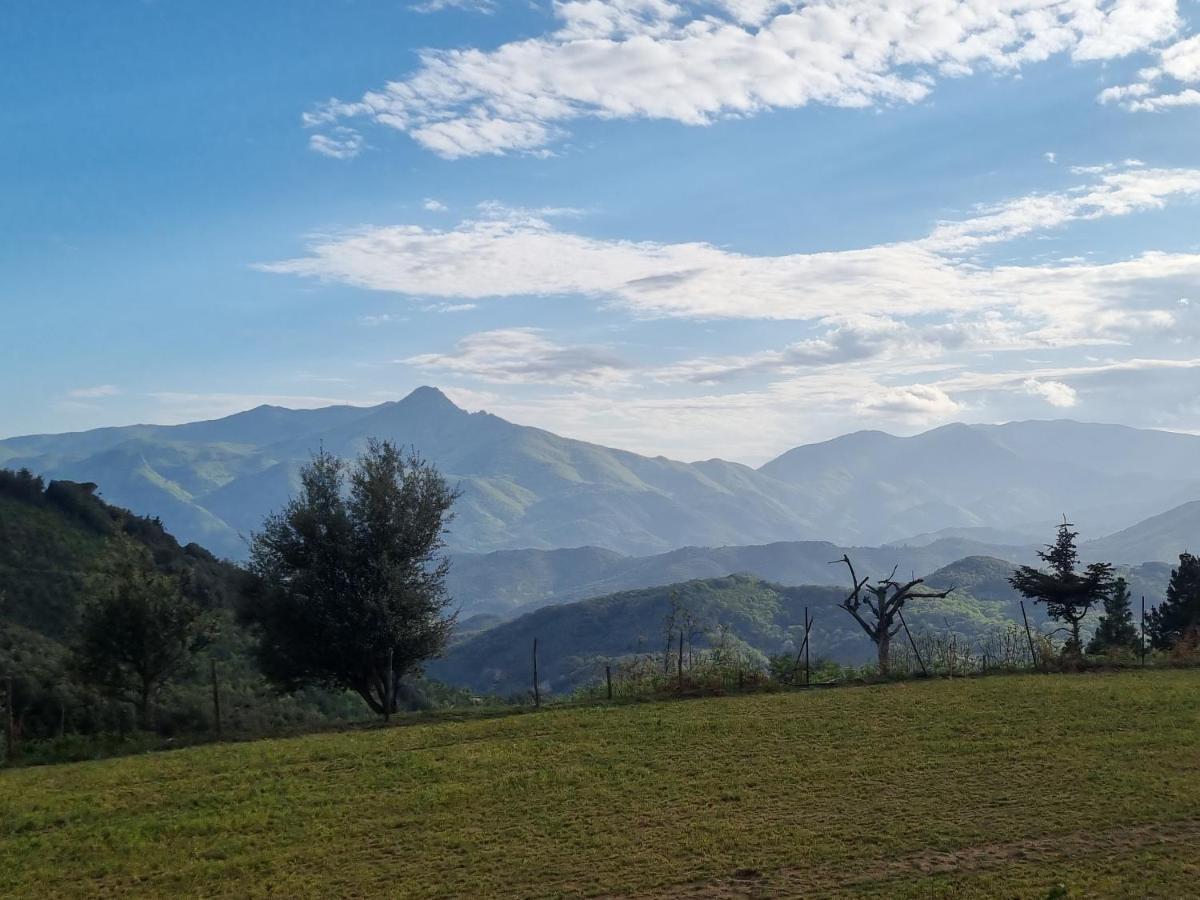 Ca La Pauleta Sant Hilari Sacalm Exterior foto